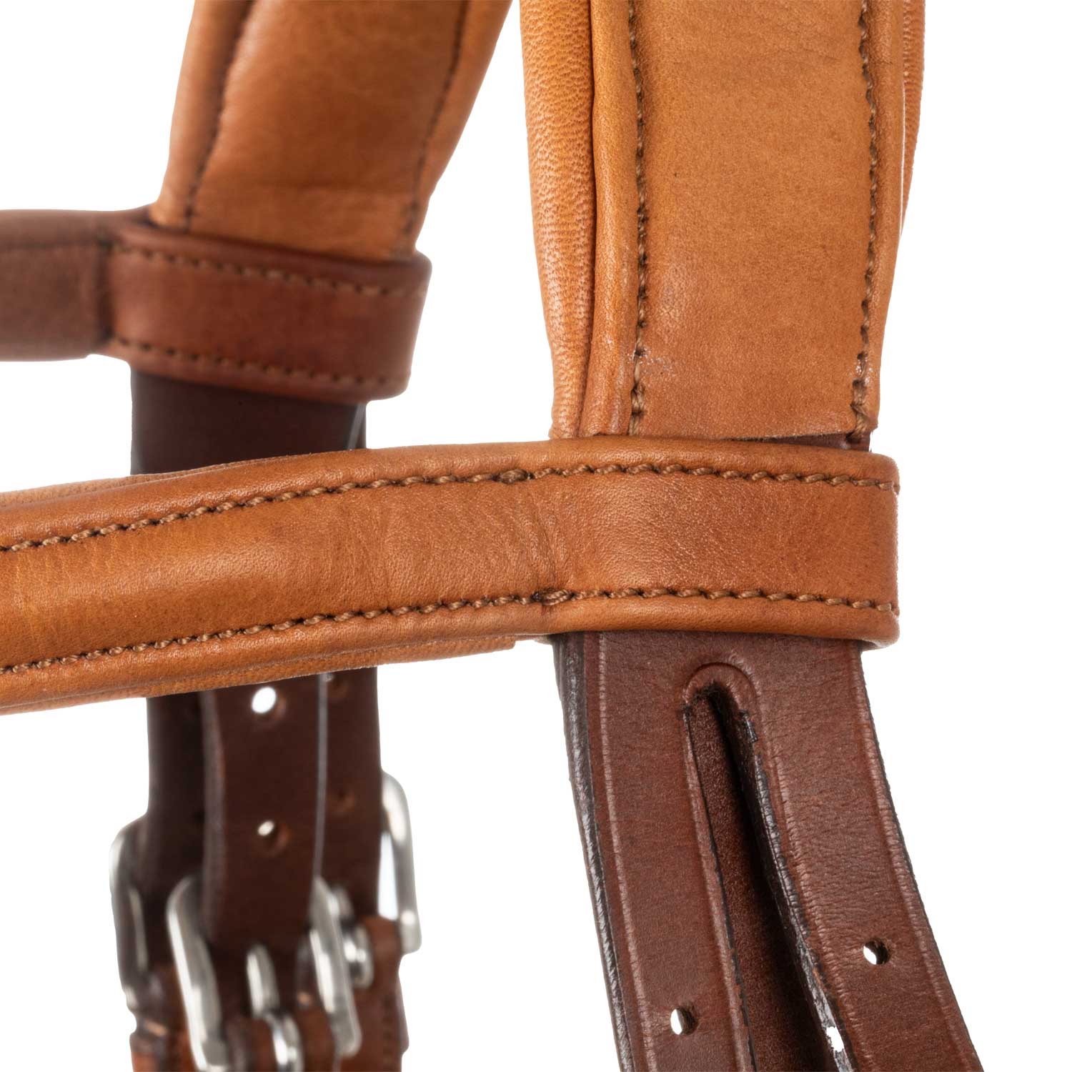 Acavallo Filosofia Bridle Calfskin - Image 4