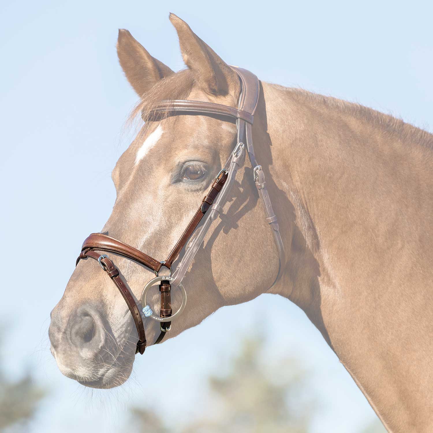 Acavallo Flash Noseband Quick Coupling - Image 5