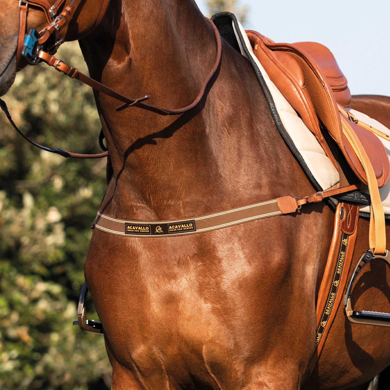 Acavallo Single Breastplate Elastic Band - Image 6