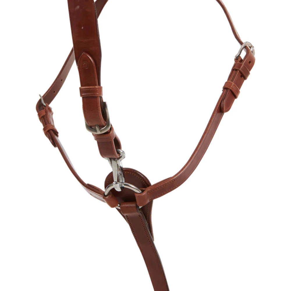 Acavallo Three-Point Breastplate Calfskin - Image 19