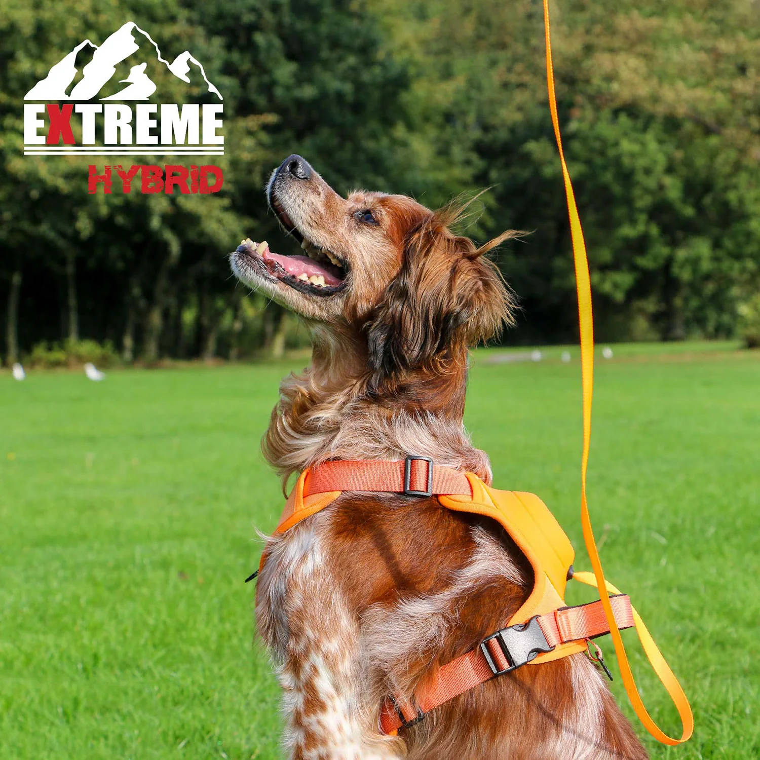 Ancol Extreme Hybrid Harness - Image 4