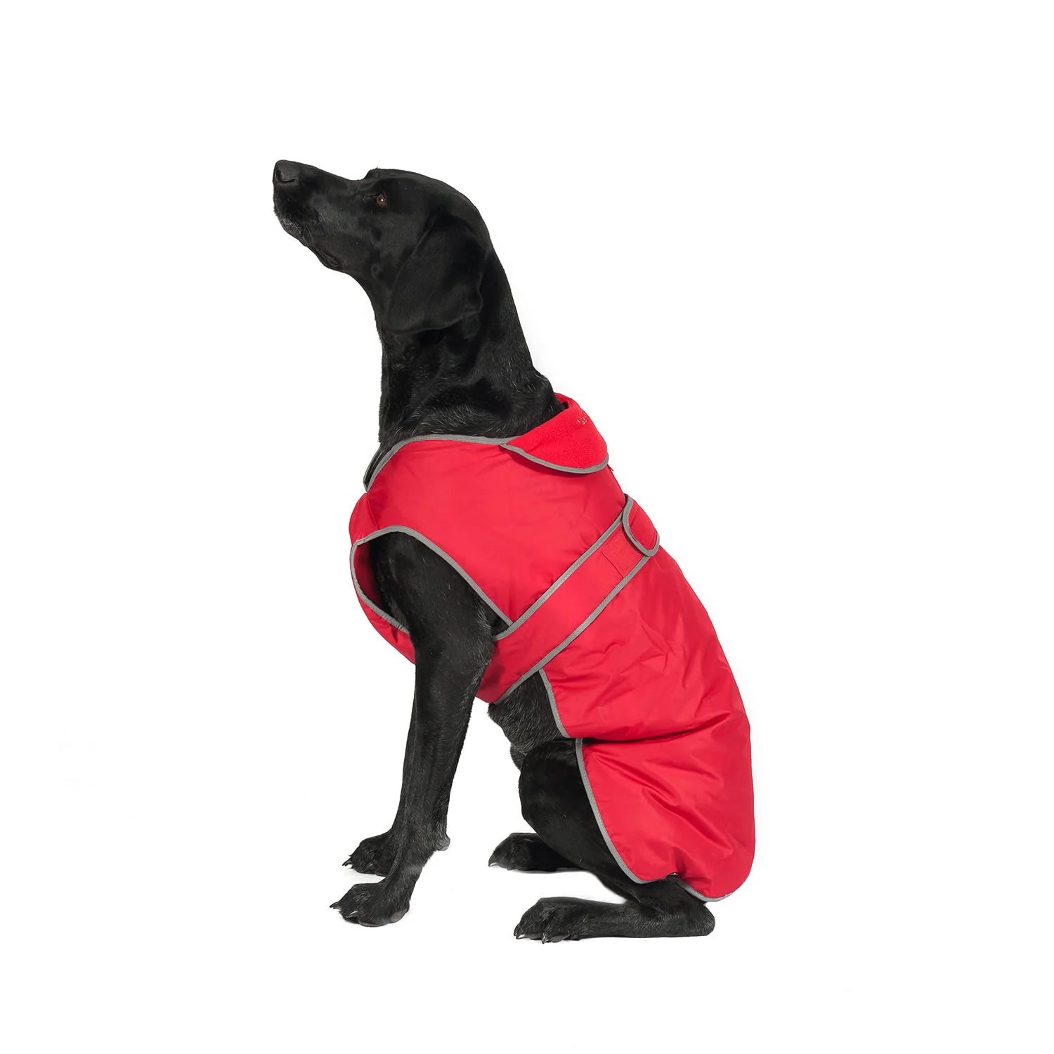 Ancol Stormguard Dog Coat - Image 4