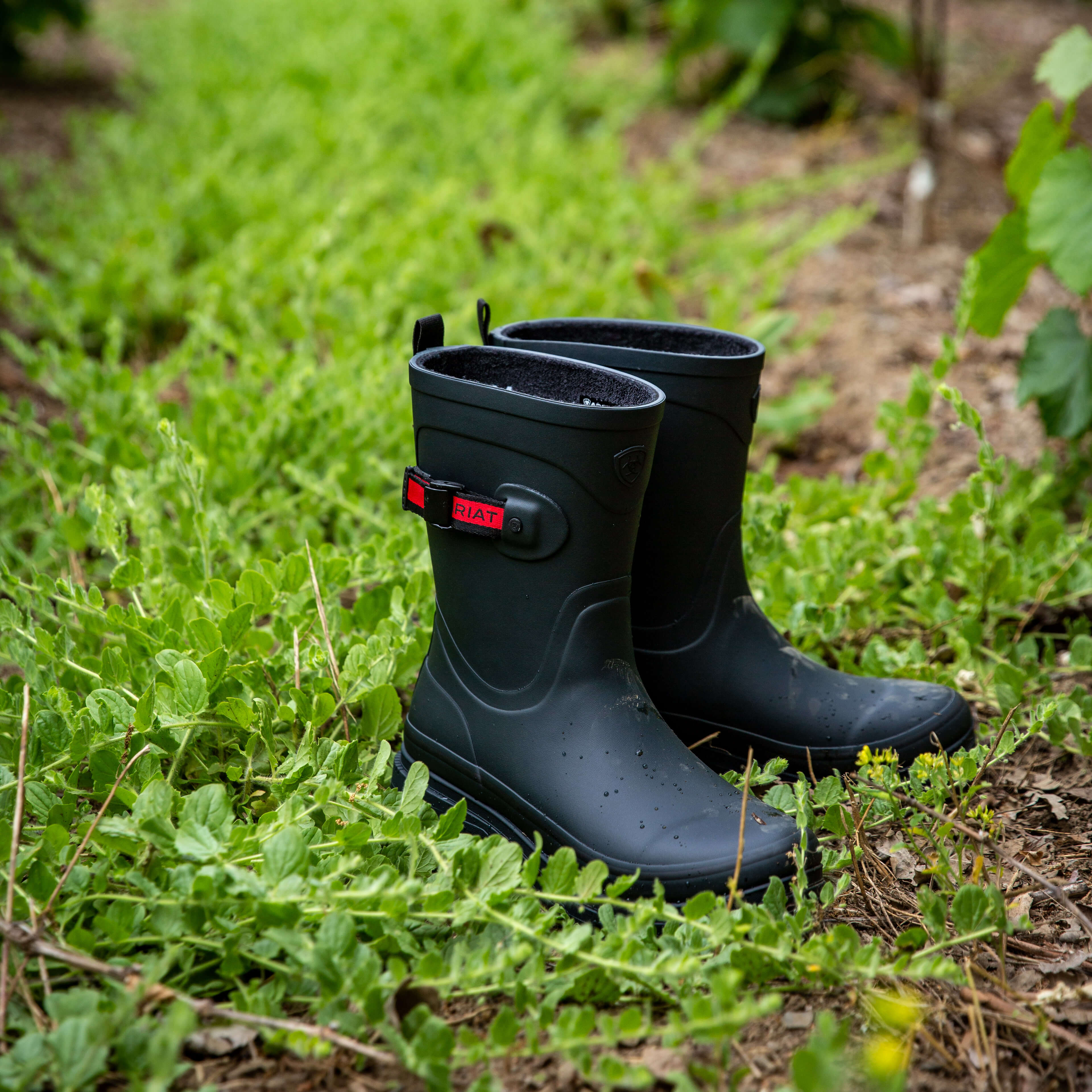 Ariat Women's Kelmarsh Mid Rubber Boot - Image 16