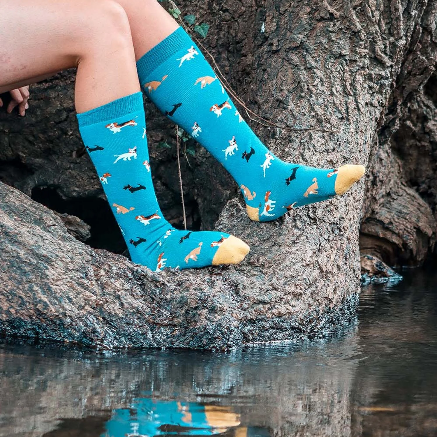 Bartleby Ladies Funky Welly Socks