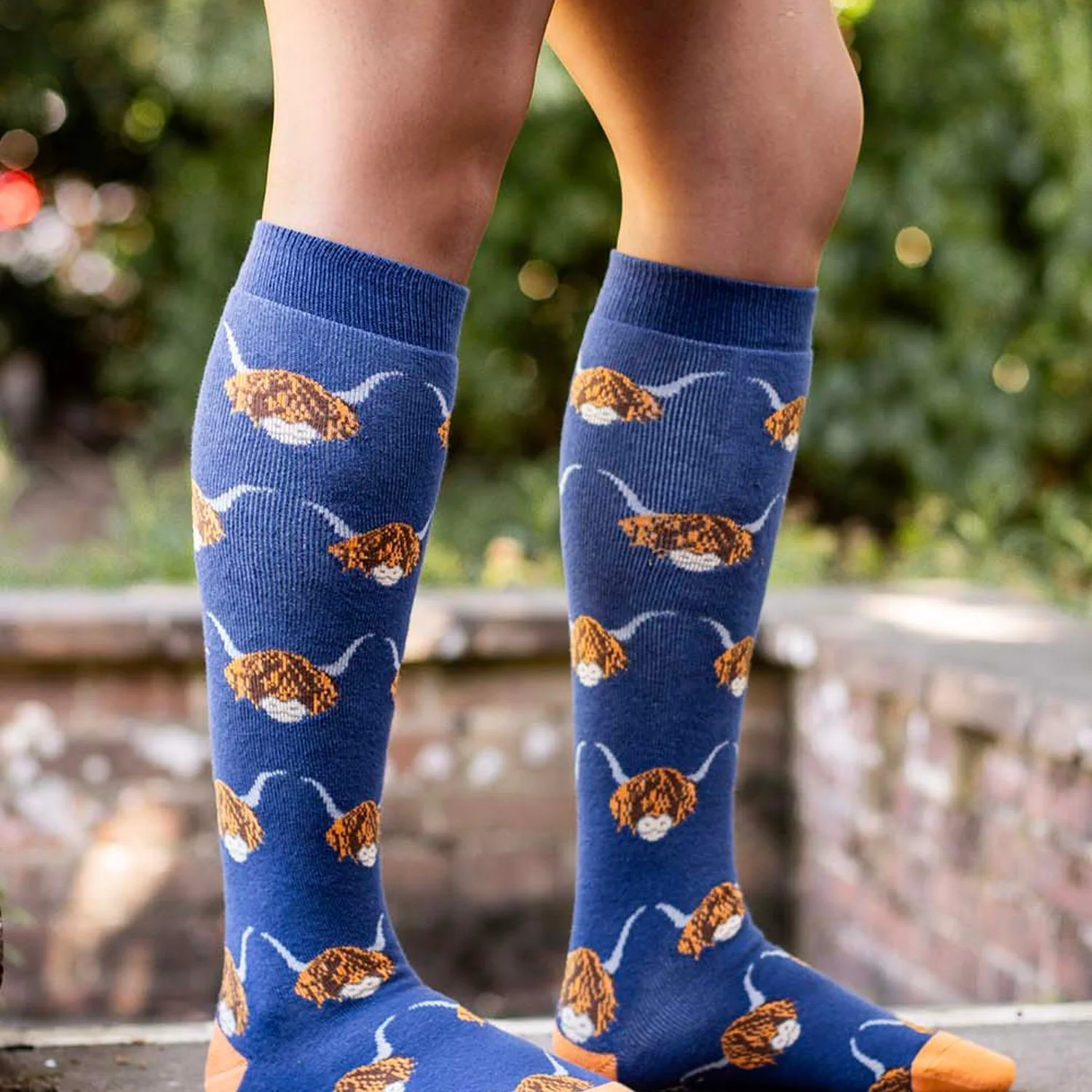 Bartleby Ladies Funky Welly Socks - Image 4
