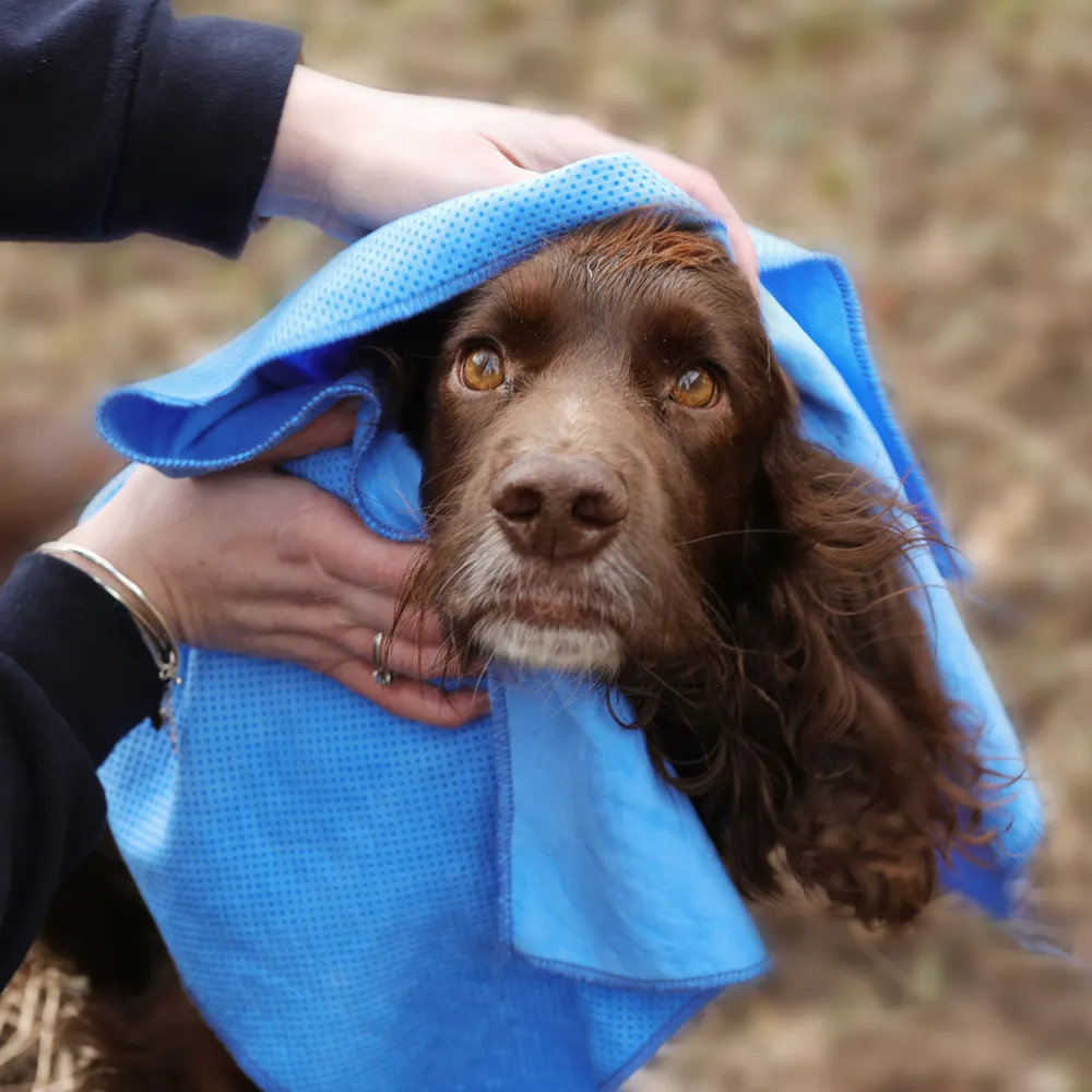 Benji & Flo Quick Dry Dog Towel - Image 3