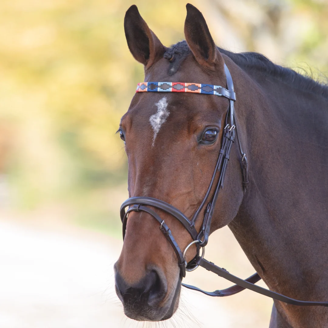 Shires Velociti GARA Leather Polo Browband - Image 2