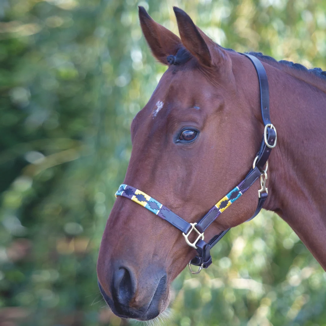 Shires Velociti GARA Leather Polo Headcollar - Image 2