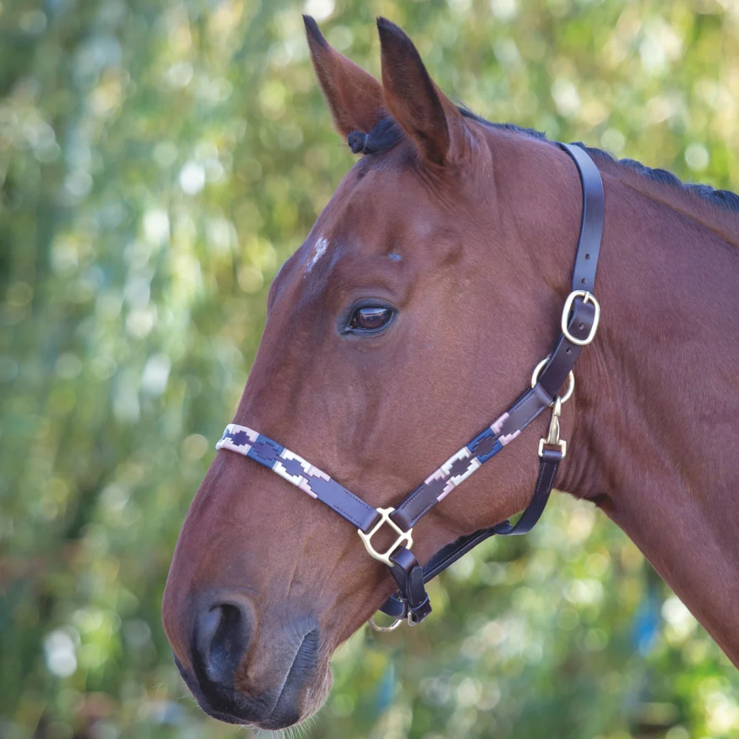 Shires Velociti GARA Leather Polo Headcollar - Image 3