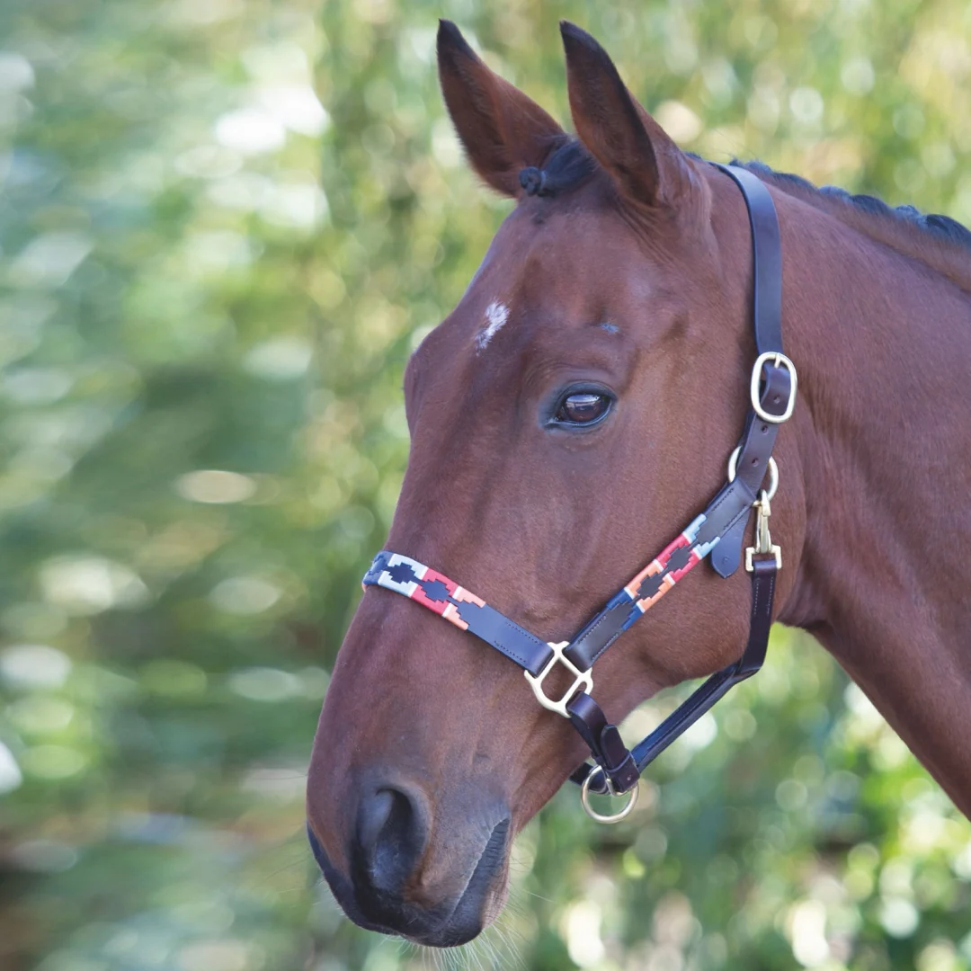 Shires Velociti GARA Leather Polo Headcollar - Image 4