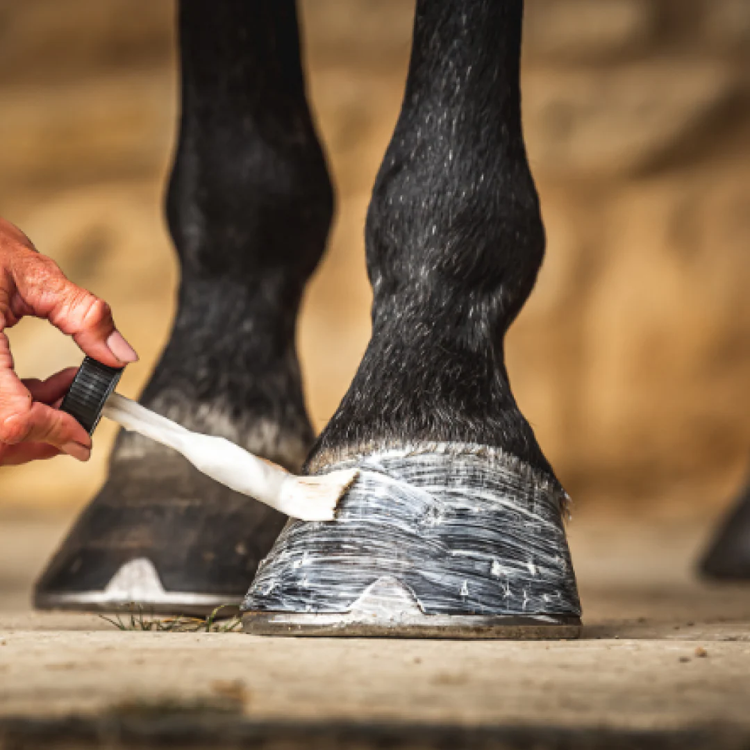 Carr & Day & Martin Cornucrescine Daily Hoof Moisturiser - Image 2
