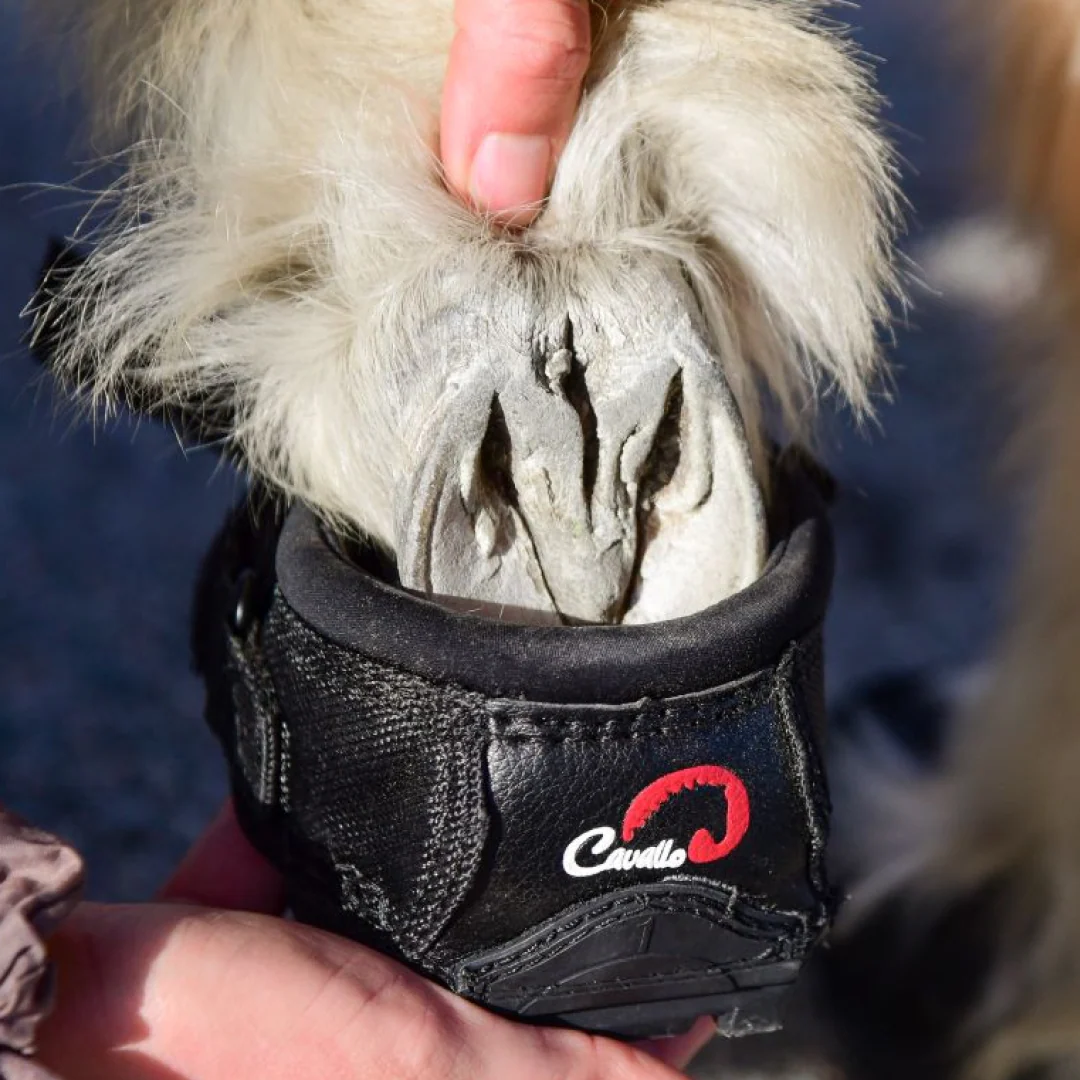 Cavallo Cute Little Boot Regular Sole - Image 3