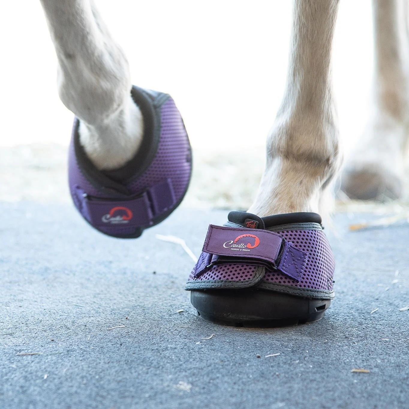 Cavallo Trek Slim Sole - Image 12