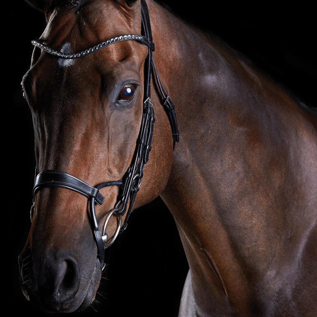Collegiate ComFiTec Crystal Bridle - Image 3