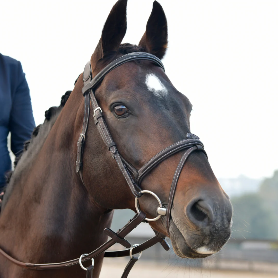 Collegiate Comfitec Opulux Fancy Stitch Padded Hanoverian Bridle - Image 3