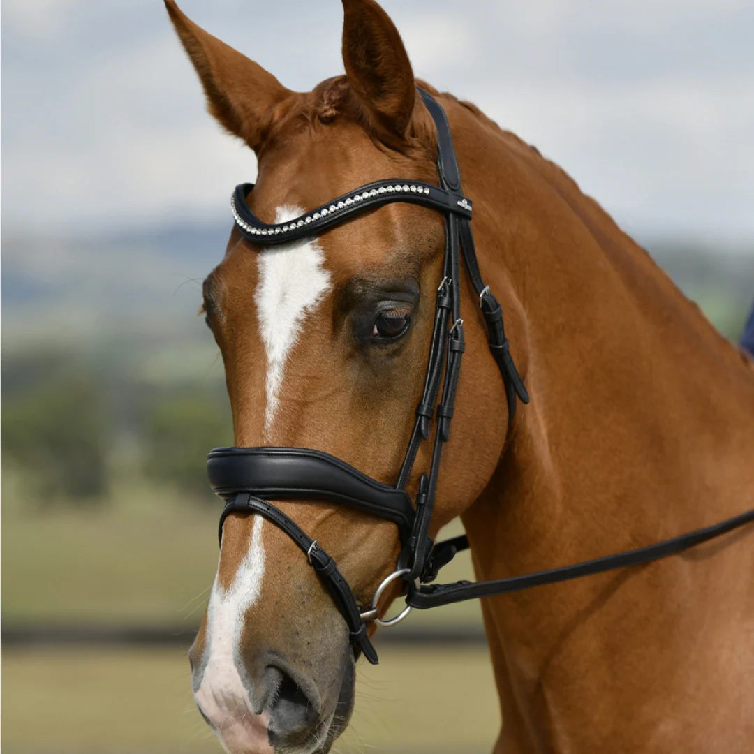 Collegiate Comfitec Opulux Padded Dressage Bridle - Image 3