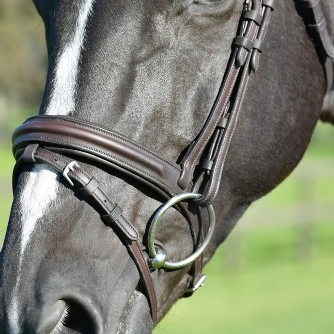 Collegiate Comfitec Opulux Plain Padded Hanoverian Flash Bridle - Image 10