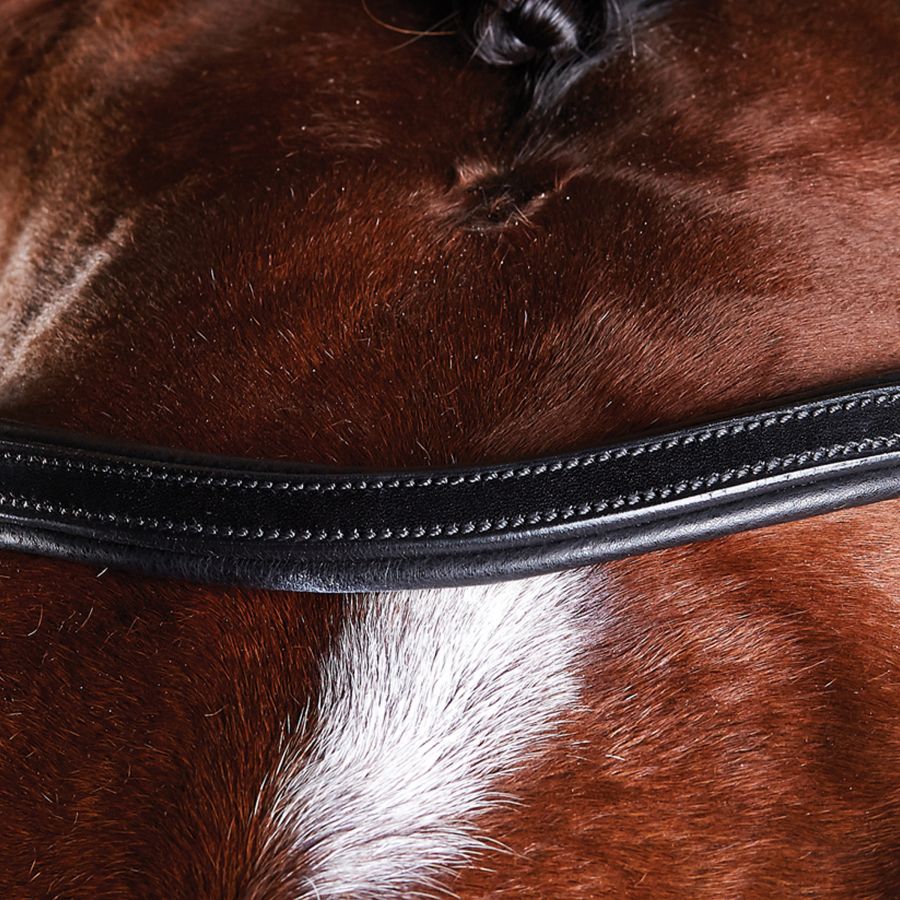 Collegiate ComFiTec Training Bridle - Image 3