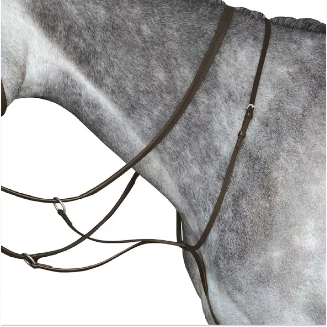 Collegiate Running Martingale - Image 2
