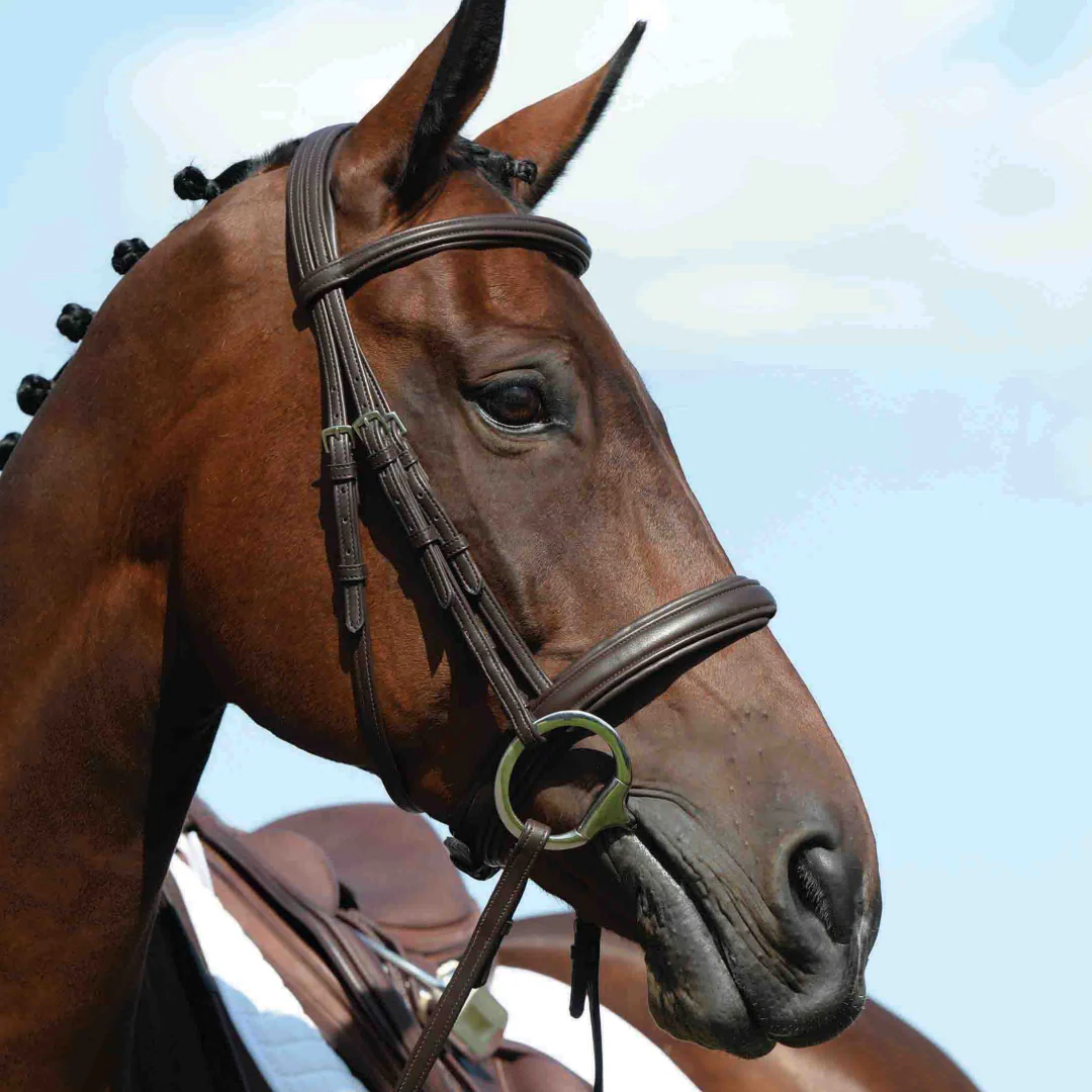 Collegiate Syntovia+ Raised Padded Cavesson Bridle - Image 2