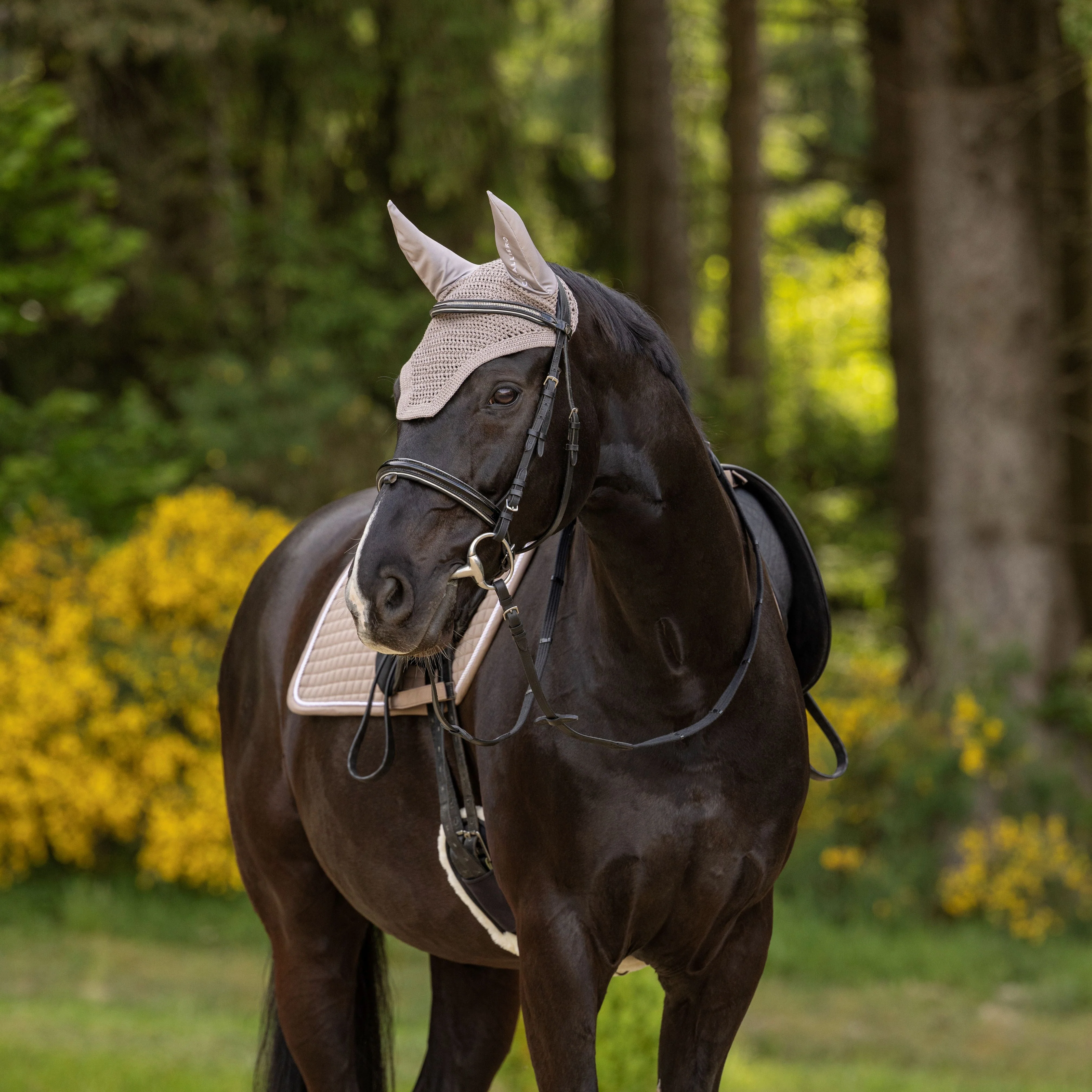 Covalliero Fly Veil - Image 27