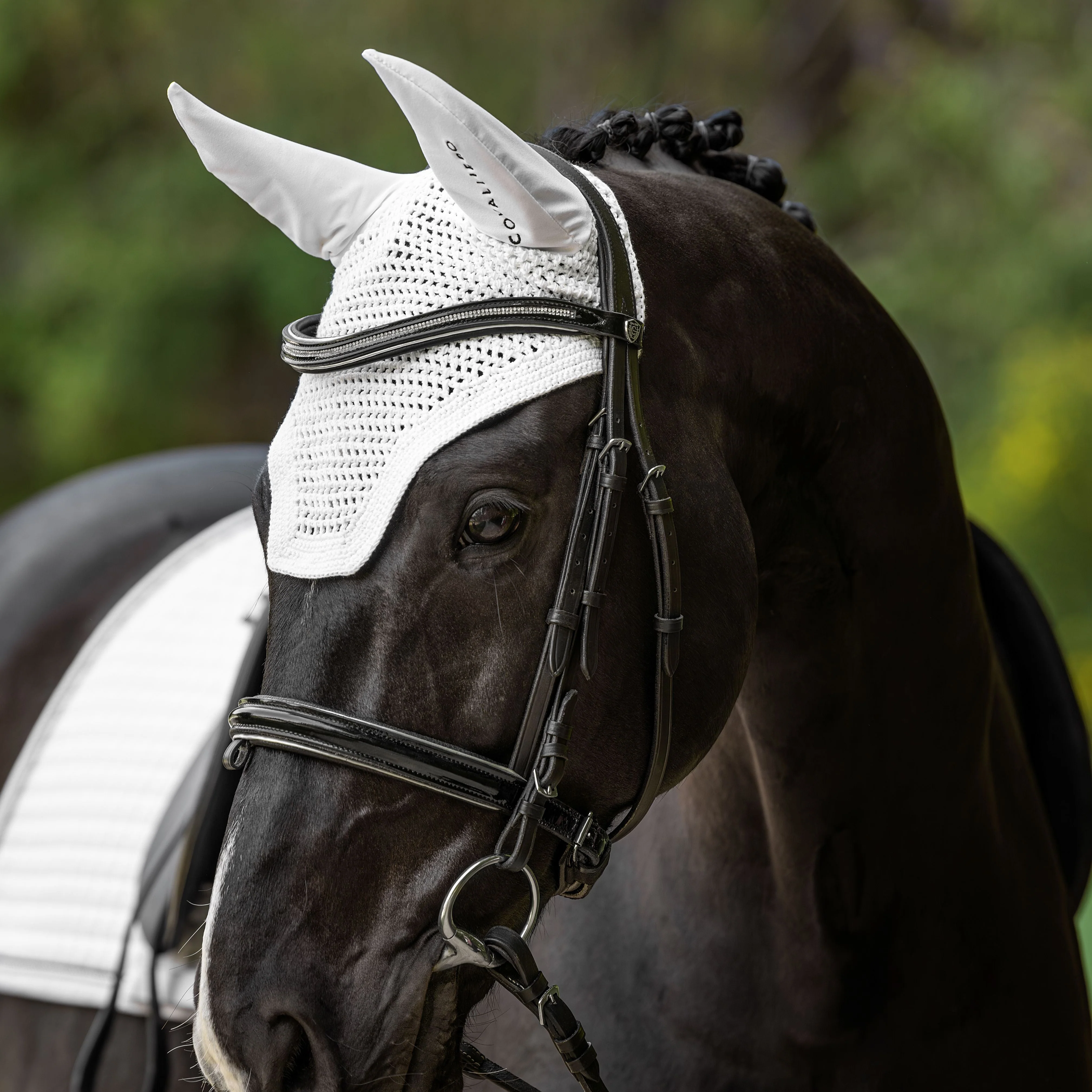 Covalliero Fly Veil - Image 29