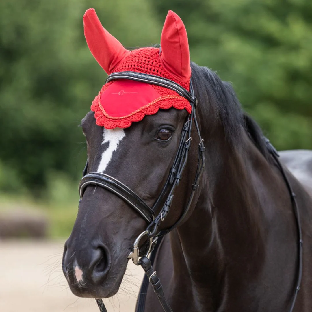 Covalliero Fly Veil - Image 6