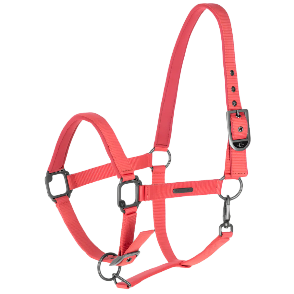 Covalliero Headcollar - Image 13