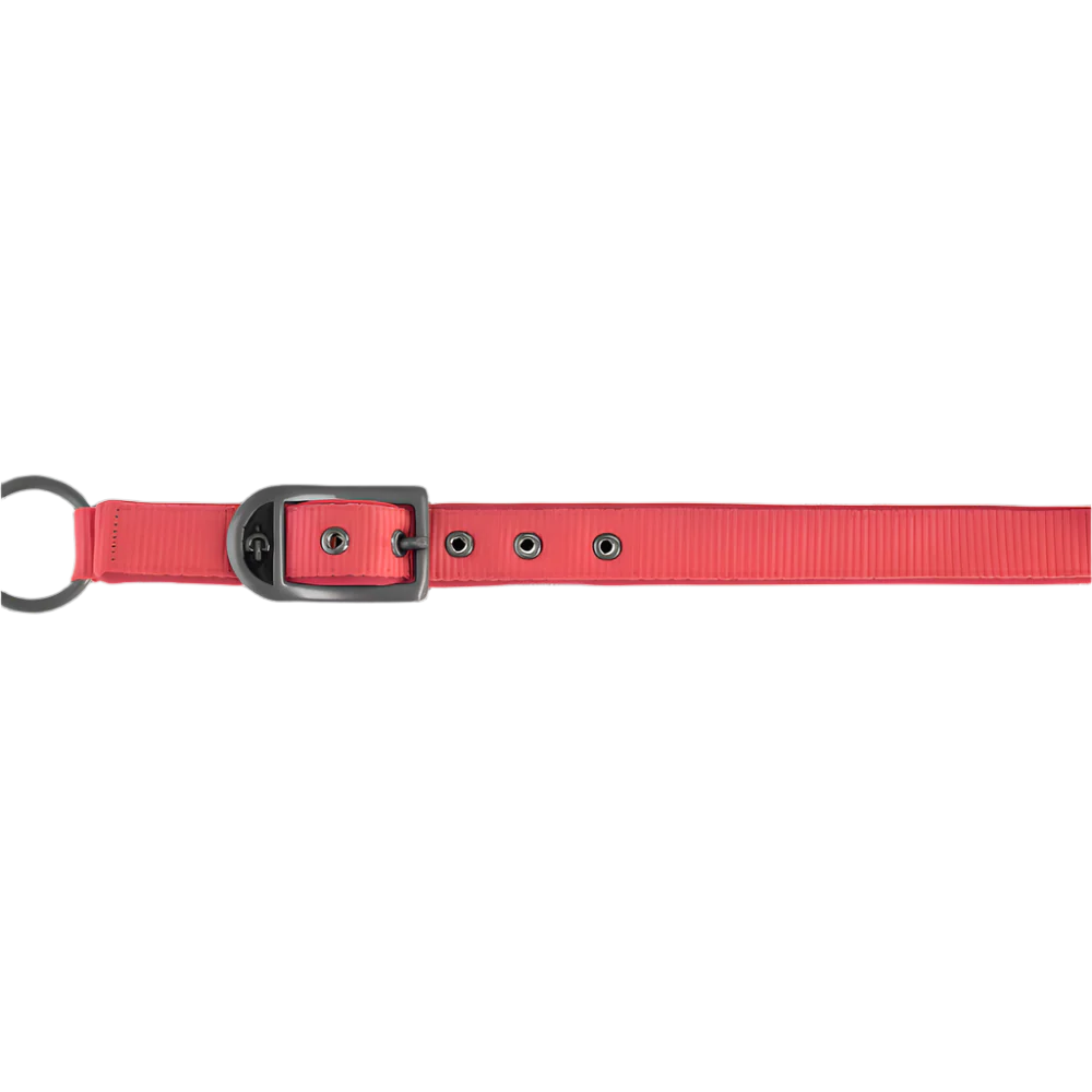 Covalliero Headcollar - Image 16