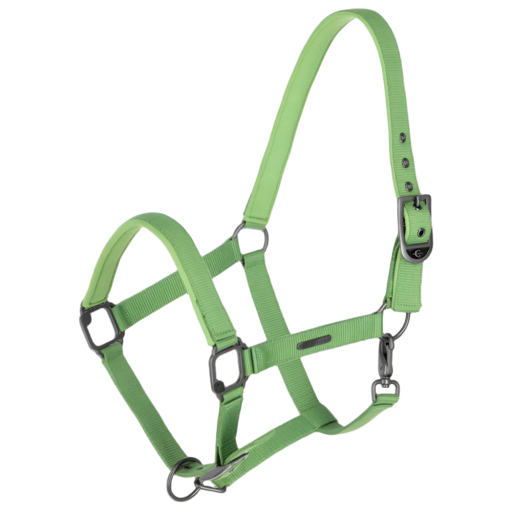 Covalliero Headcollar - Image 19