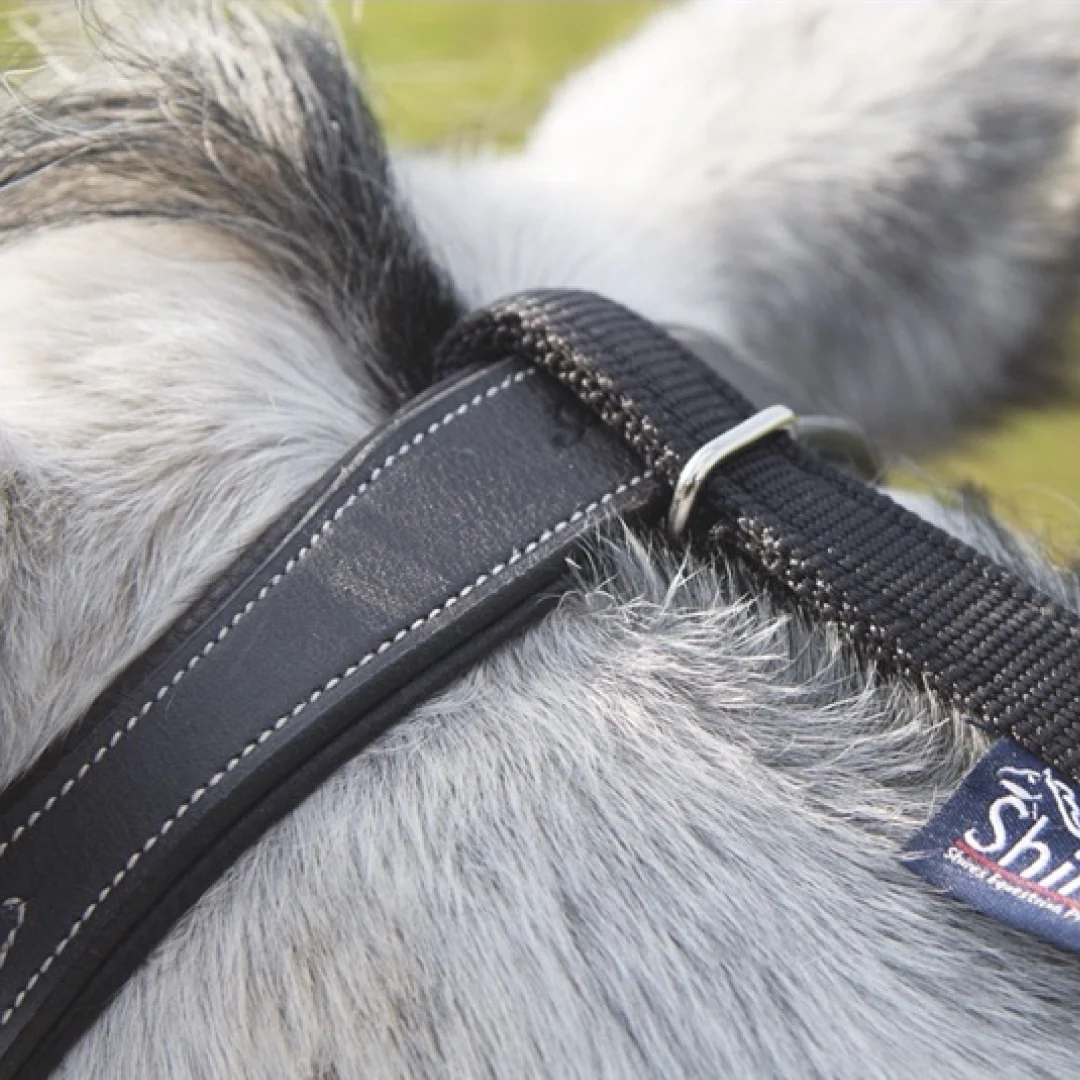 Shires Daisy Rein - Image 2