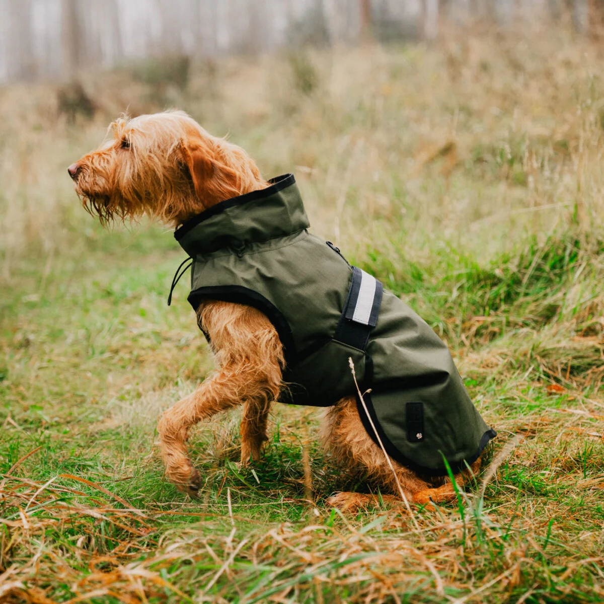 Danish Design 3-In-1 Dog Coat - Image 45