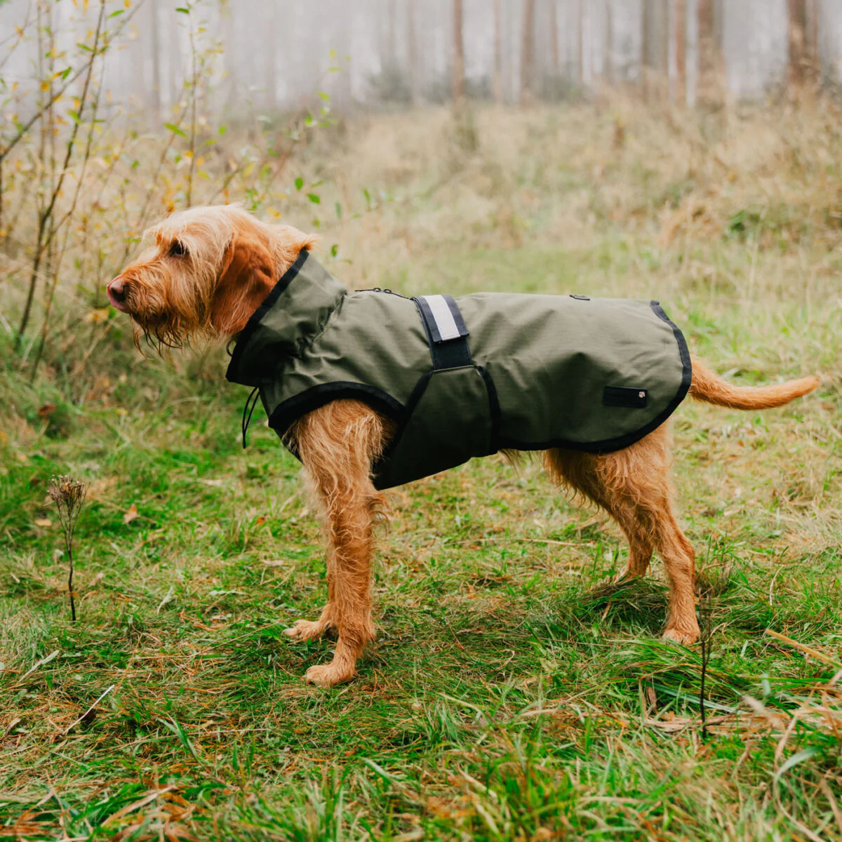 Danish Design 3-In-1 Dog Coat - Image 46