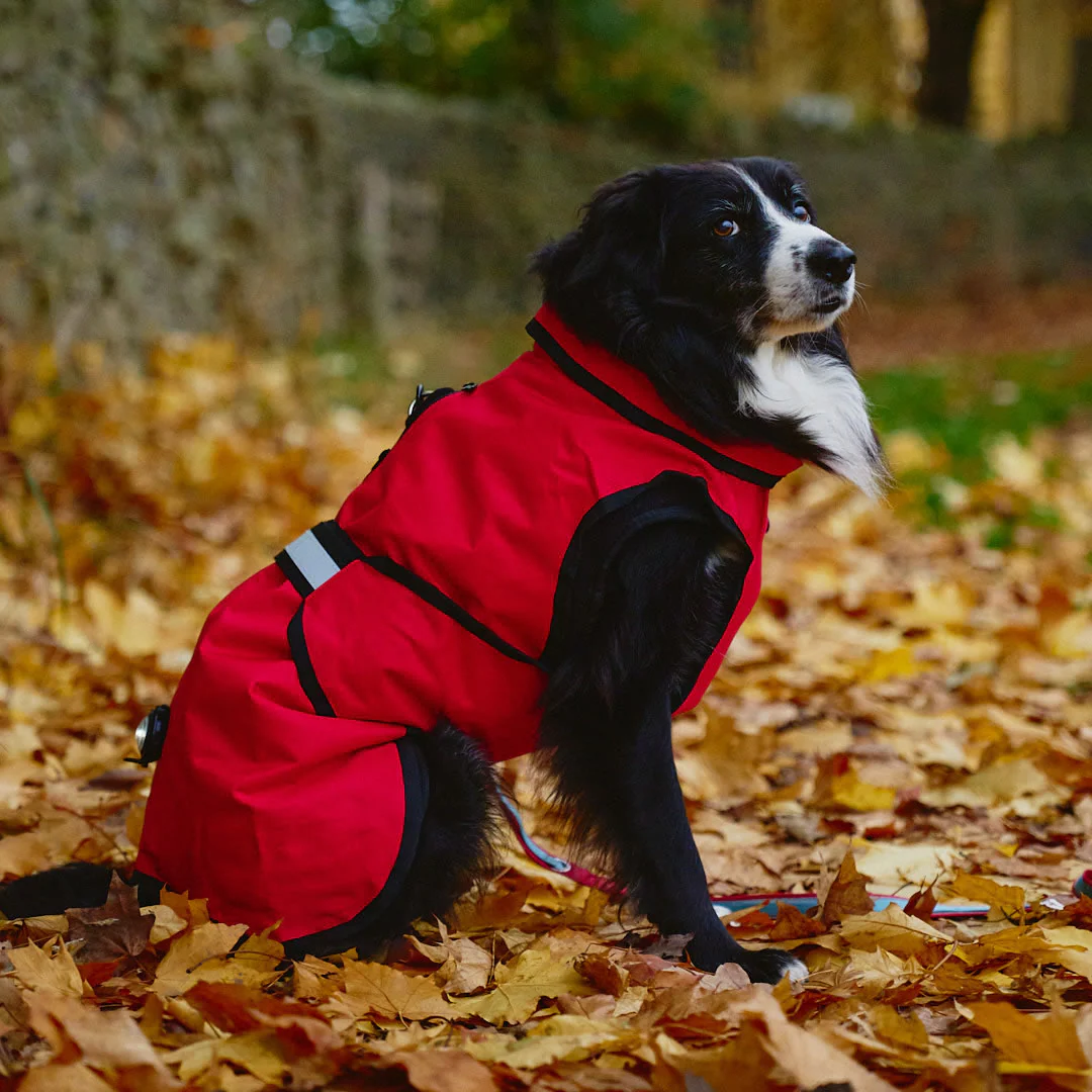 Danish Design 3-In-1 Dog Coat - Image 63