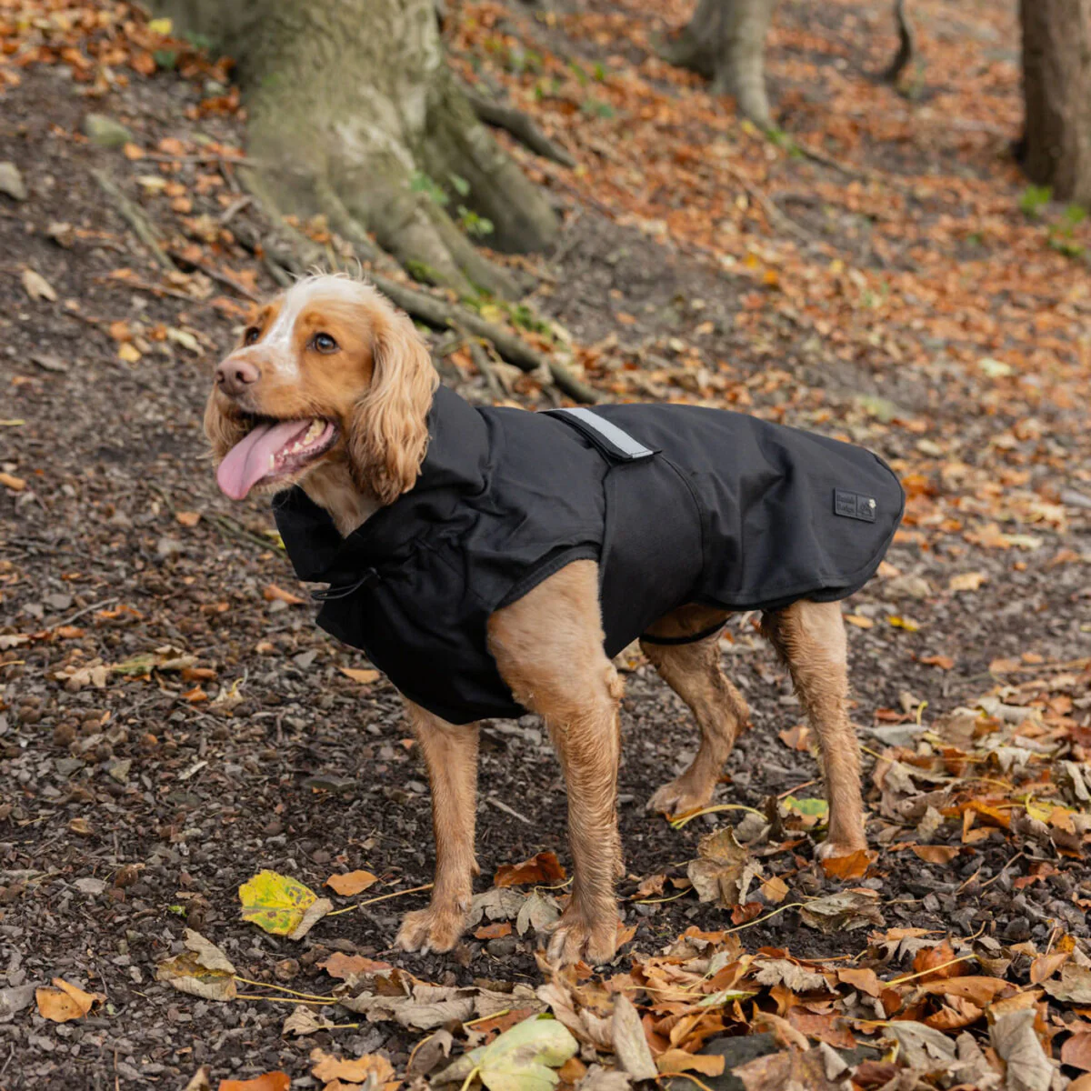Danish Design 3-In-1 Dog Coat - Image 7