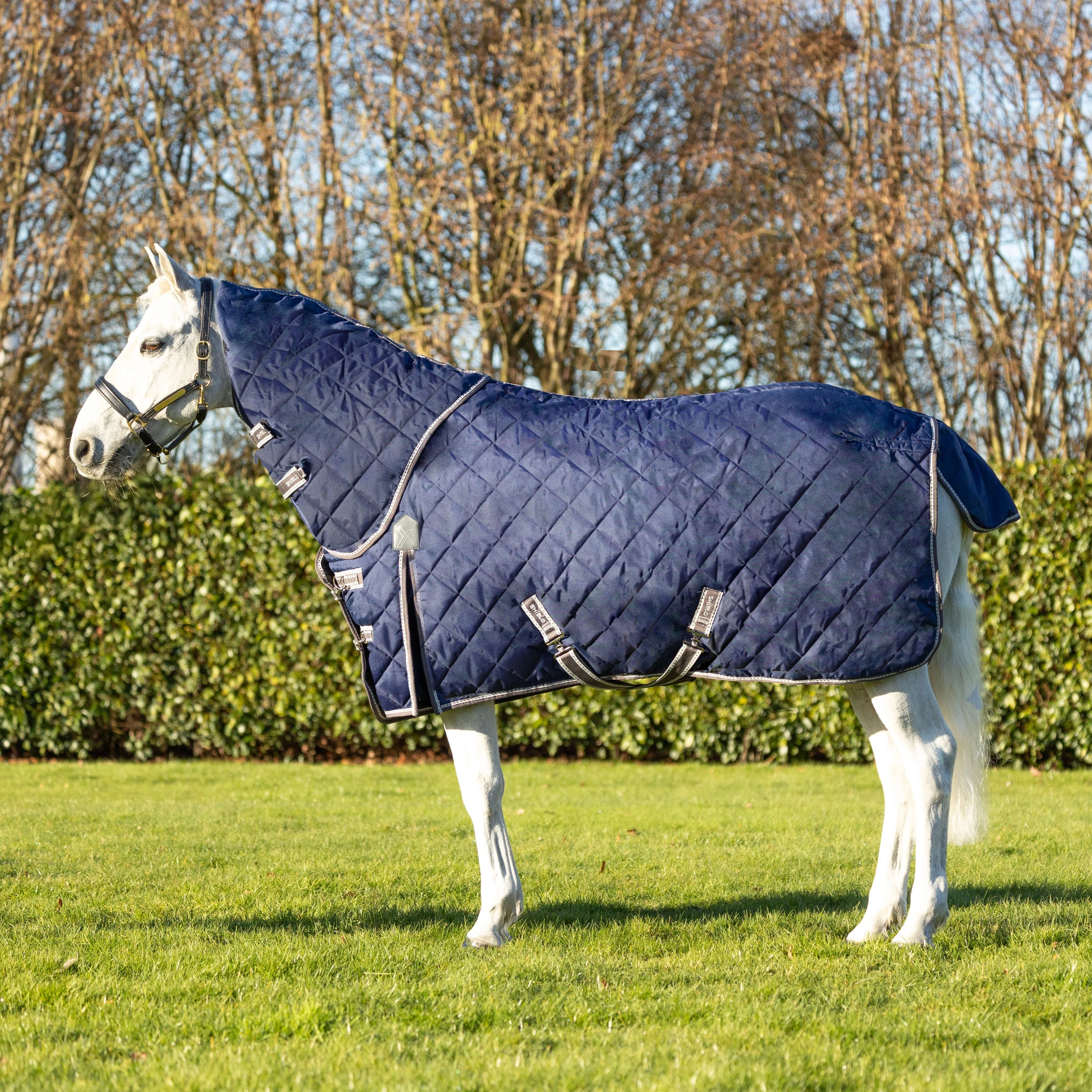 DefenceX Shield 200g Stable Rug with Detachable Neck