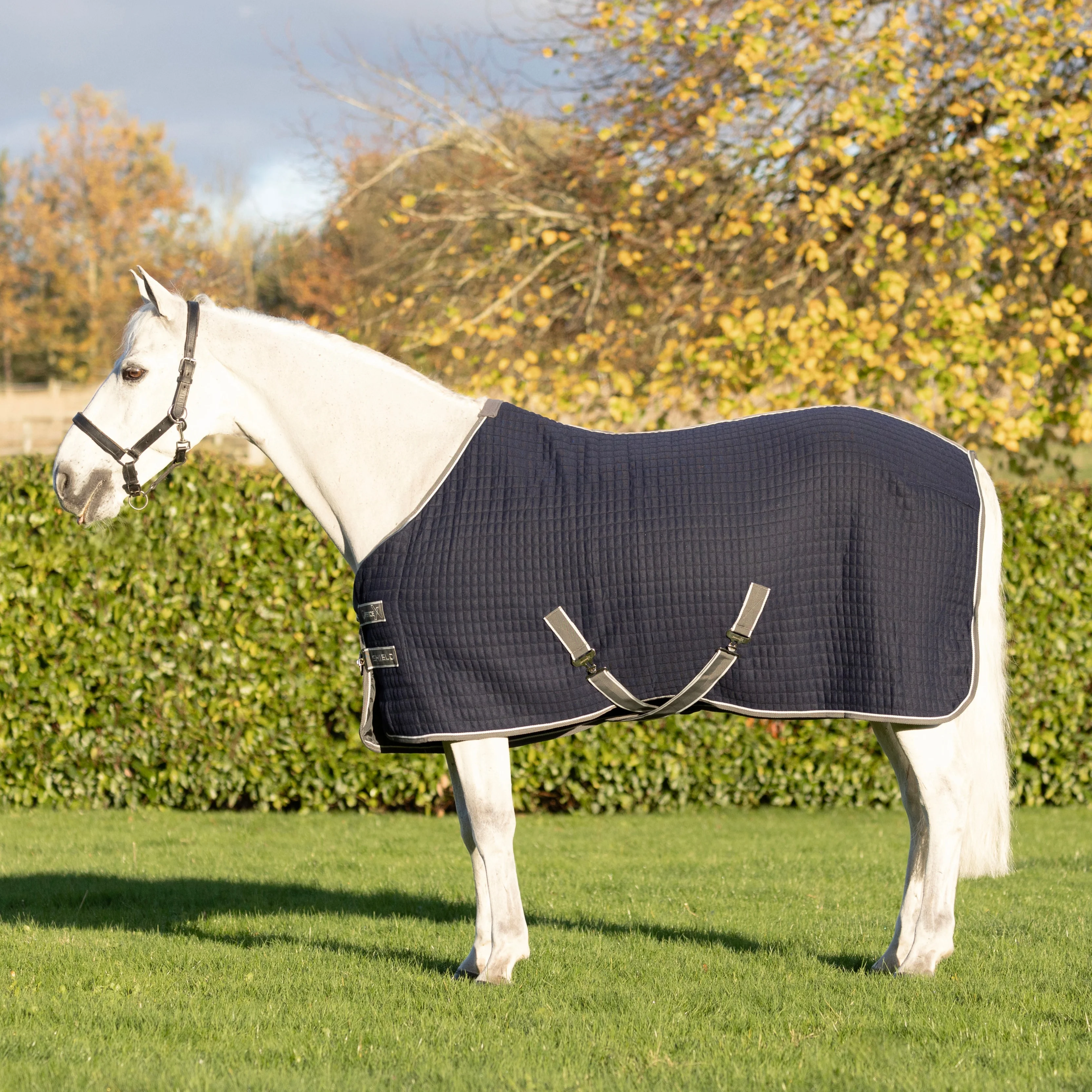DefenceX Shield Thermal Rug