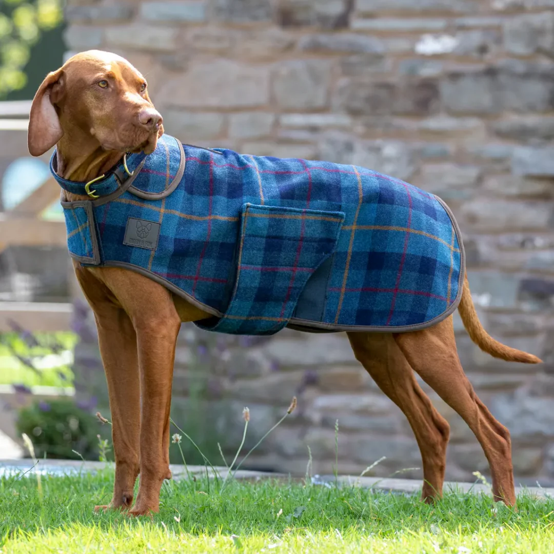 Shires Digby & Fox Tweed Dog Coat - Image 3