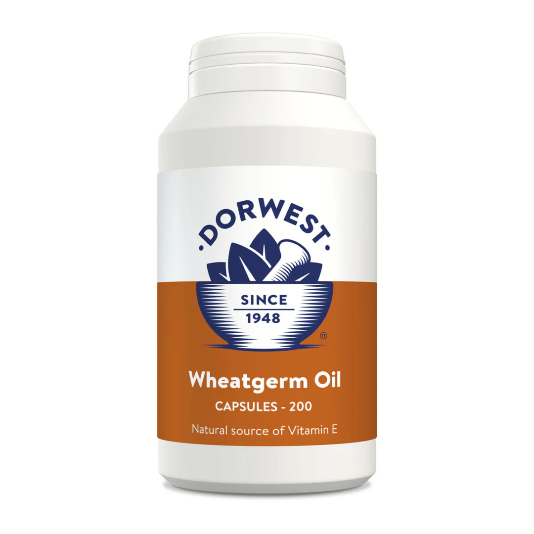Dorwest Herbs Wheatgerm Oil for Dogs/Cats - Image 2