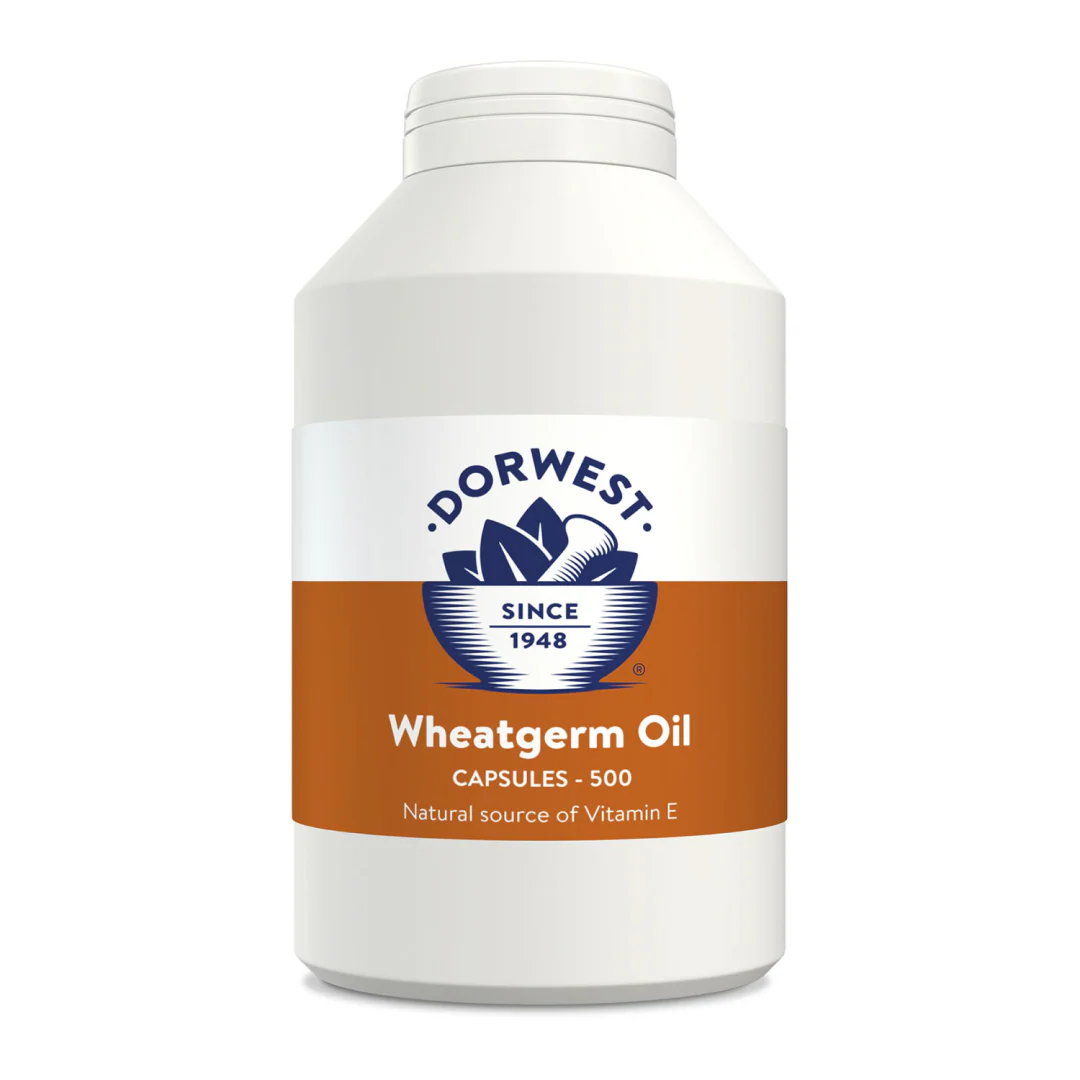 Dorwest Herbs Wheatgerm Oil for Dogs/Cats - Image 3