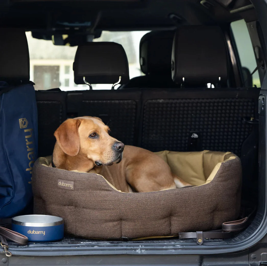 Dubarry Buster Dog Bed - Image 10