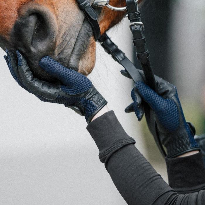 E.L.T Adult Nantes Riding Glove - Image 4