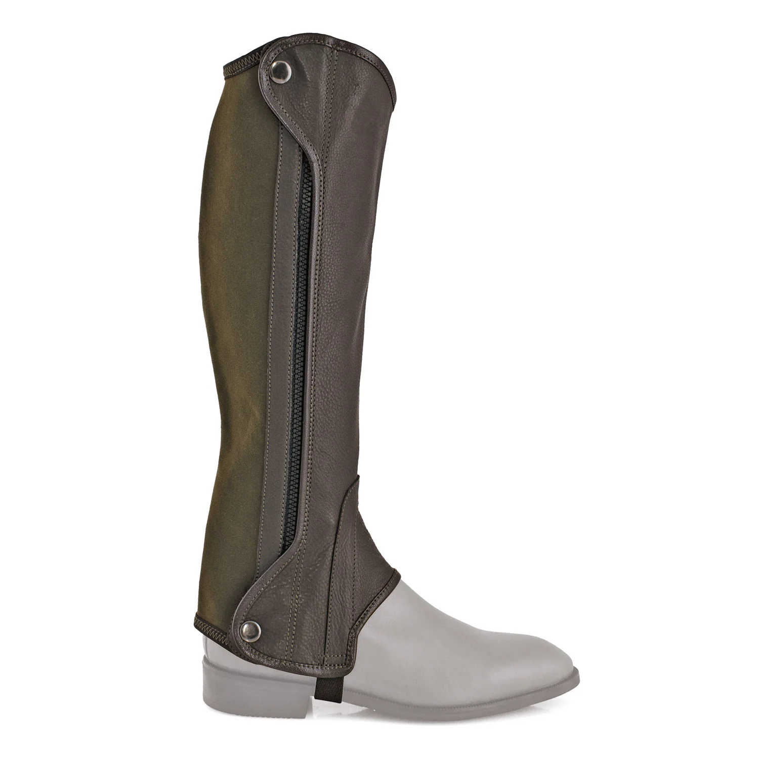Equestro Chester Leather Mini-Chaps - Image 2