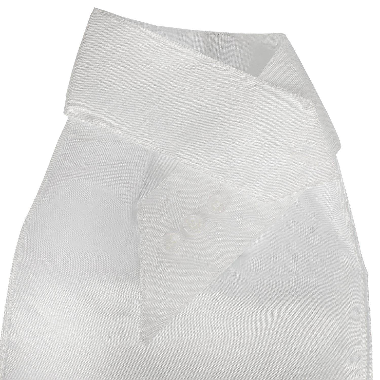 Equestro Competition Plastron With Embroidered Logo - Image 4