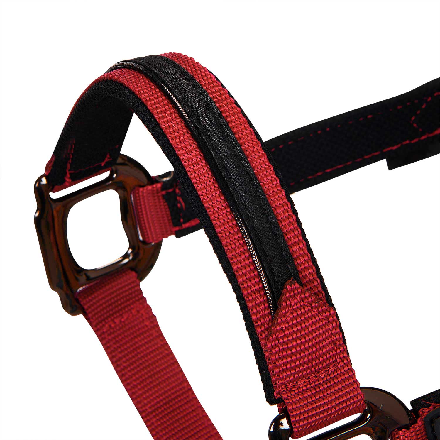 Equestro Durable Fleece Halter - Image 31