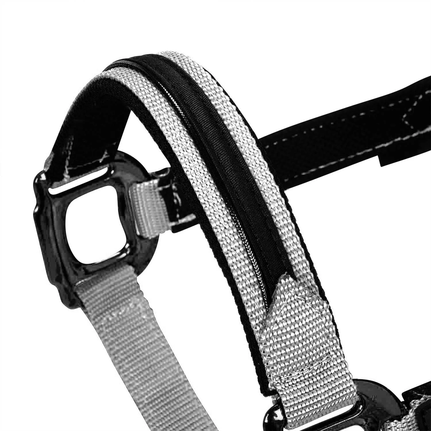Equestro Durable Fleece Halter - Image 38