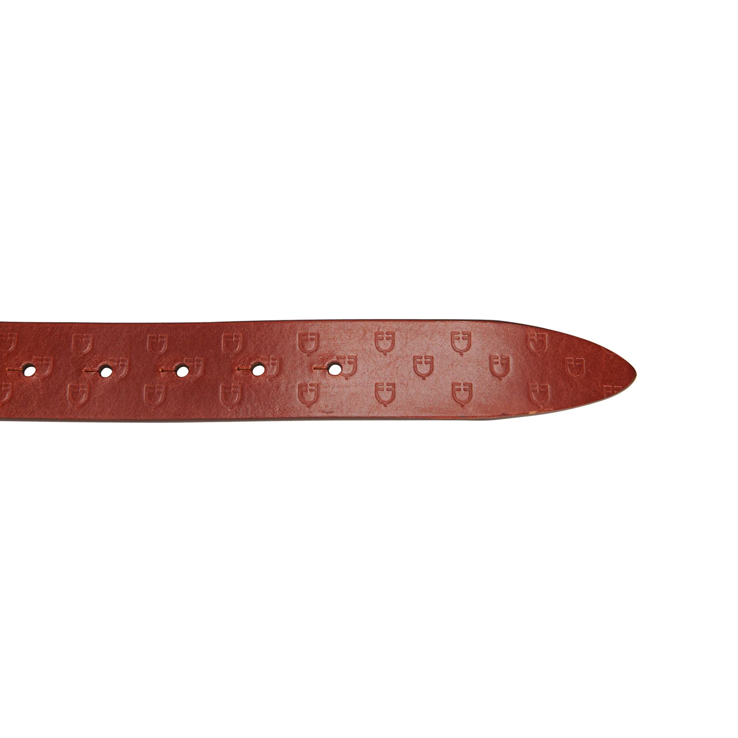Equestro Leather Logo Belt With Logoed Buckle - Image 8