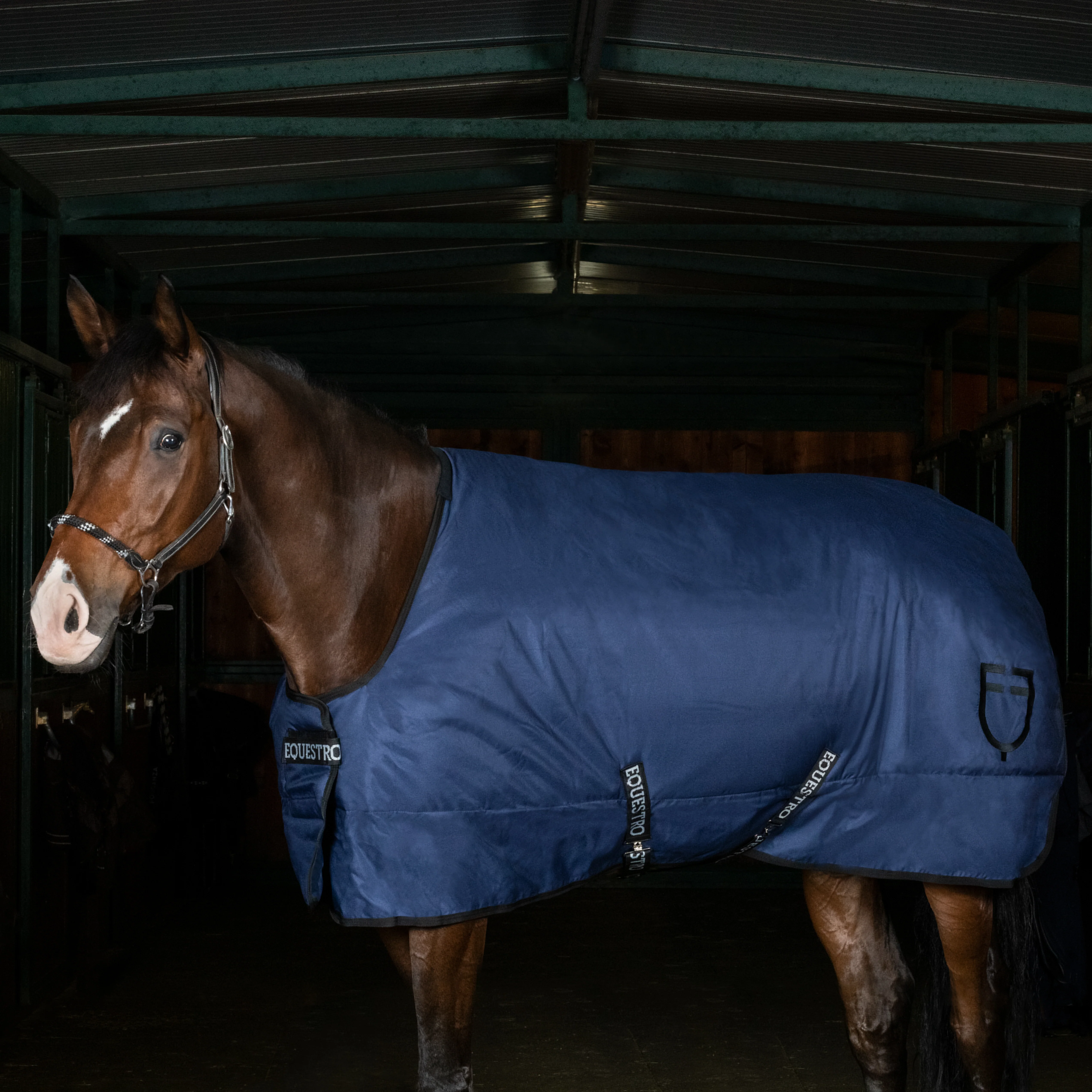 Equestro Rip-Stop Stable Rug With Logo - Image 6