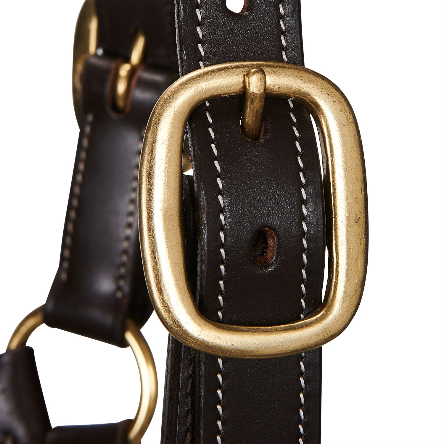 Equestro Soft Leather Halter With Durable Buckles - Image 9