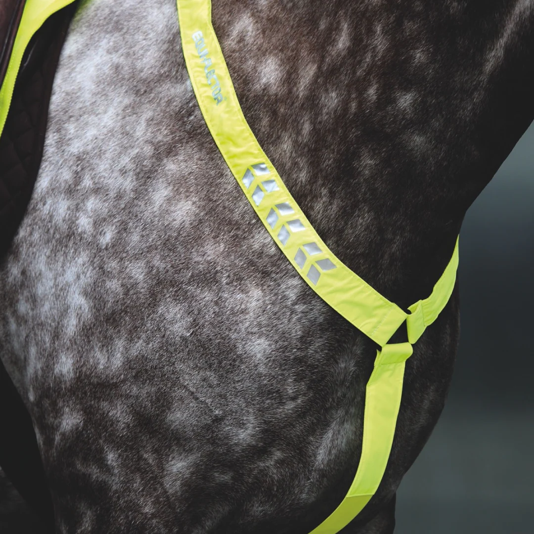 Shires EQUI-FLECTOR Breastplate - Image 4